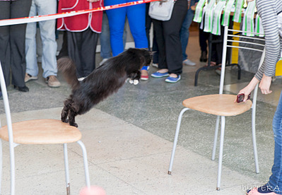 click for enlarge 1920 X 1327 662.6 Kb picture