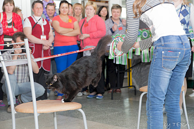 click for enlarge 1920 X 1280 547.1 Kb picture