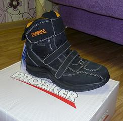 click for enlarge 781 X 768  92.8 Kb picture