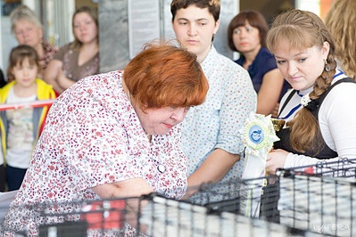 click for enlarge 1920 X 1280 772.4 Kb picture