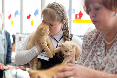 click for enlarge 1920 X 1280 526.8 Kb picture