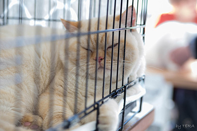 click for enlarge 1920 X 1280 429.6 Kb picture