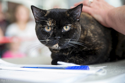 click for enlarge 1920 X 1280 397.1 Kb picture