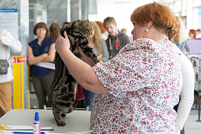 click for enlarge 1920 X 1280 738.7 Kb picture