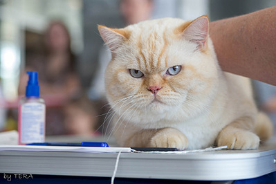 click for enlarge 1920 X 1279 411.1 Kb picture