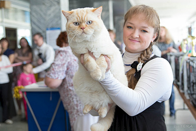 click for enlarge 1920 X 1280 441.3 Kb picture