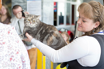 click for enlarge 1920 X 1280 521.9 Kb picture