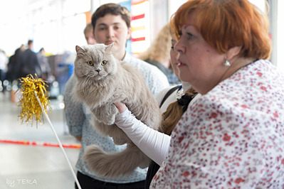 click for enlarge 1920 X 1280 450.0 Kb picture