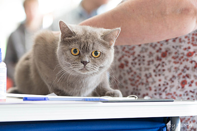 click for enlarge 1920 X 1280 520.3 Kb picture