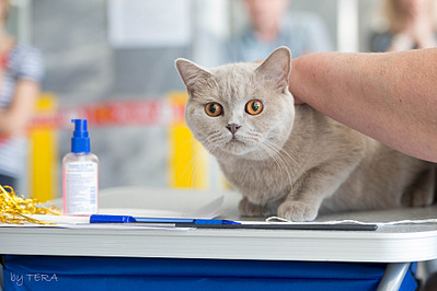 click for enlarge 1920 X 1280 471.2 Kb picture