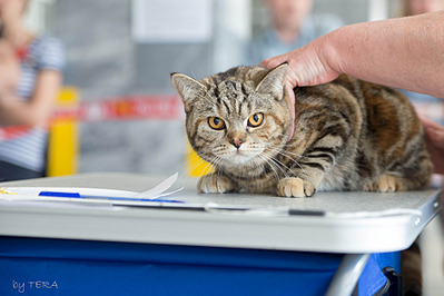 click for enlarge 1920 X 1280 486.1 Kb picture