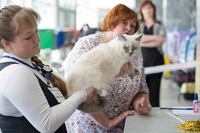 click for enlarge 1920 X 1280 528.0 Kb picture