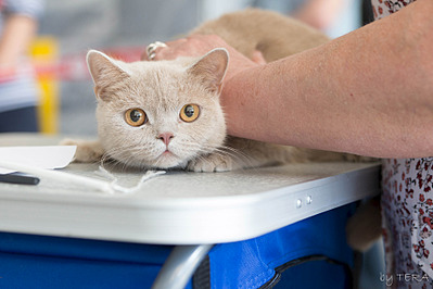 click for enlarge 1920 X 1280 492.9 Kb picture