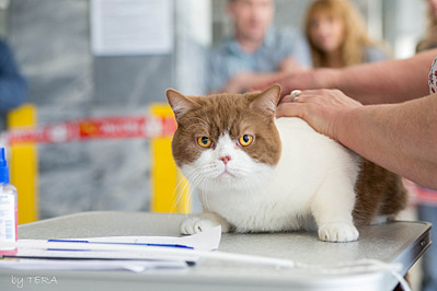 click for enlarge 1920 X 1280 404.0 Kb picture