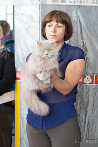 click for enlarge 1920 X 2879 359.5 Kb picture