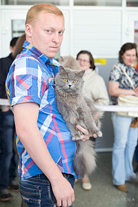 click for enlarge 1920 X 2880 375.9 Kb picture