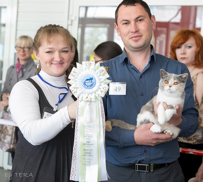 click for enlarge 1920 X 1721 911.6 Kb picture