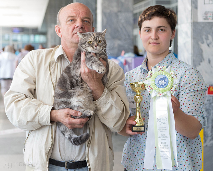 click for enlarge 1920 X 1544 802.8 Kb picture