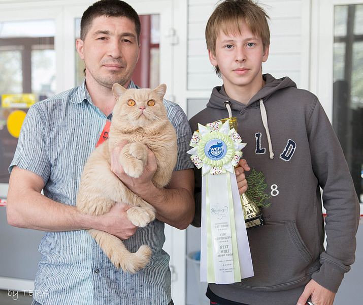 click for enlarge 1920 X 1609 818.6 Kb picture