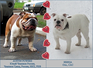 click for enlarge 1920 X 1394 232.1 Kb picture