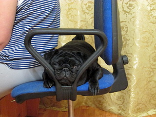 click for enlarge 1920 X 1440 662.7 Kb picture