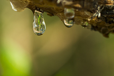 click for enlarge 800 X 532 223.3 Kb picture