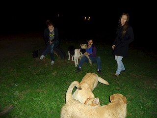 click for enlarge 604 X 453  43.6 Kb picture