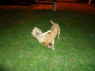 click for enlarge 604 X 453  69.1 Kb picture