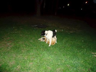 click for enlarge 604 X 453  55.2 Kb picture