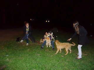 click for enlarge 604 X 453  40.3 Kb picture