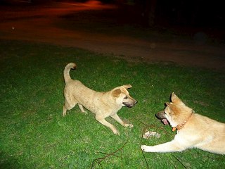click for enlarge 604 X 453  58.7 Kb picture