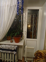 click for enlarge 1920 X 2560 284.7 Kb picture
