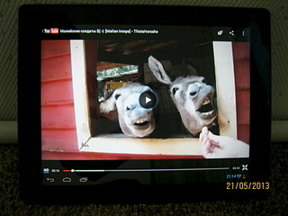 click for enlarge 1920 X 1440 471.8 Kb picture