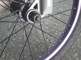 click for enlarge 640 X 480  65.0 Kb picture