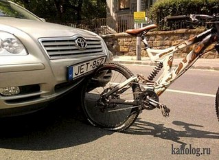 click for enlarge 500 X 365  49.0 Kb picture
