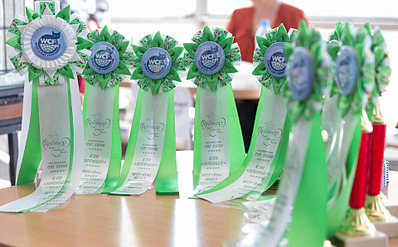 click for enlarge 1920 X 1190 575.7 Kb picture