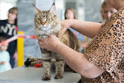 click for enlarge 1920 X 1279 607.3 Kb picture