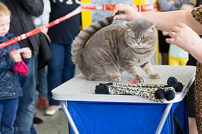 click for enlarge 1920 X 1280 825.8 Kb picture