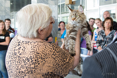 click for enlarge 1920 X 1280 685.9 Kb picture