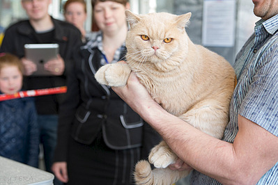 click for enlarge 1920 X 1280 641.5 Kb picture