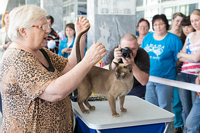 click for enlarge 1920 X 1279 795.5 Kb picture