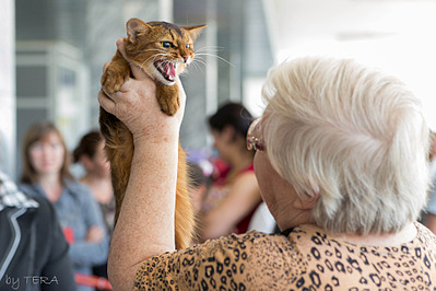 click for enlarge 1920 X 1279 532.5 Kb picture