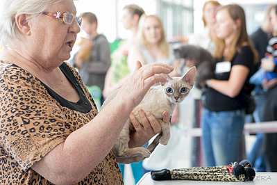 click for enlarge 1920 X 1279 573.1 Kb picture