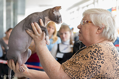 click for enlarge 1920 X 1280 682.0 Kb picture