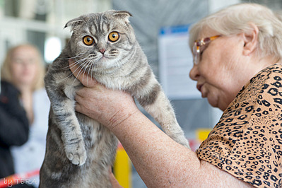 click for enlarge 1920 X 1280 688.9 Kb picture