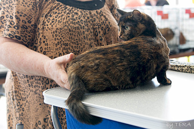 click for enlarge 1920 X 1280 635.9 Kb picture