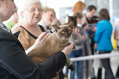 click for enlarge 1920 X 1280 602.4 Kb picture