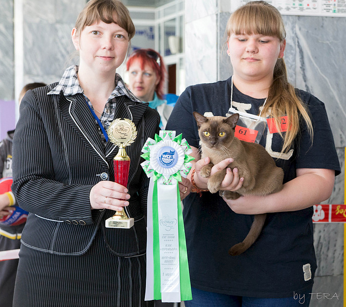 click for enlarge 1920 X 1703 350.8 Kb picture