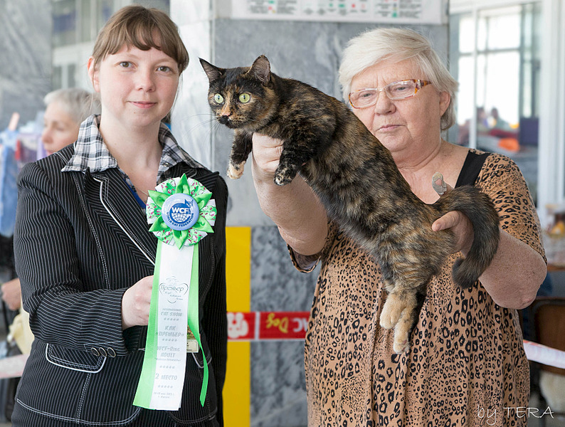 click for enlarge 1920 X 1449 973.1 Kb picture