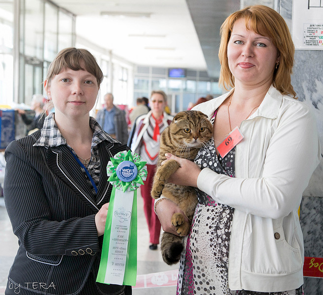 click for enlarge 1920 X 1752 373.0 Kb picture